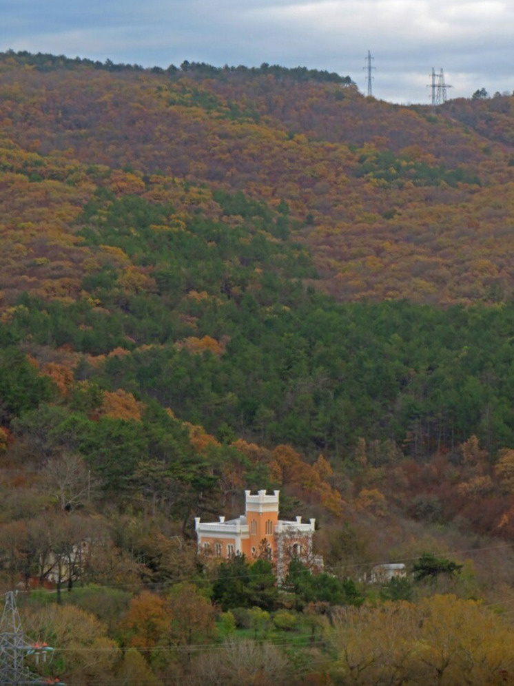     Кесслерский лес. фото Полины Морозовой