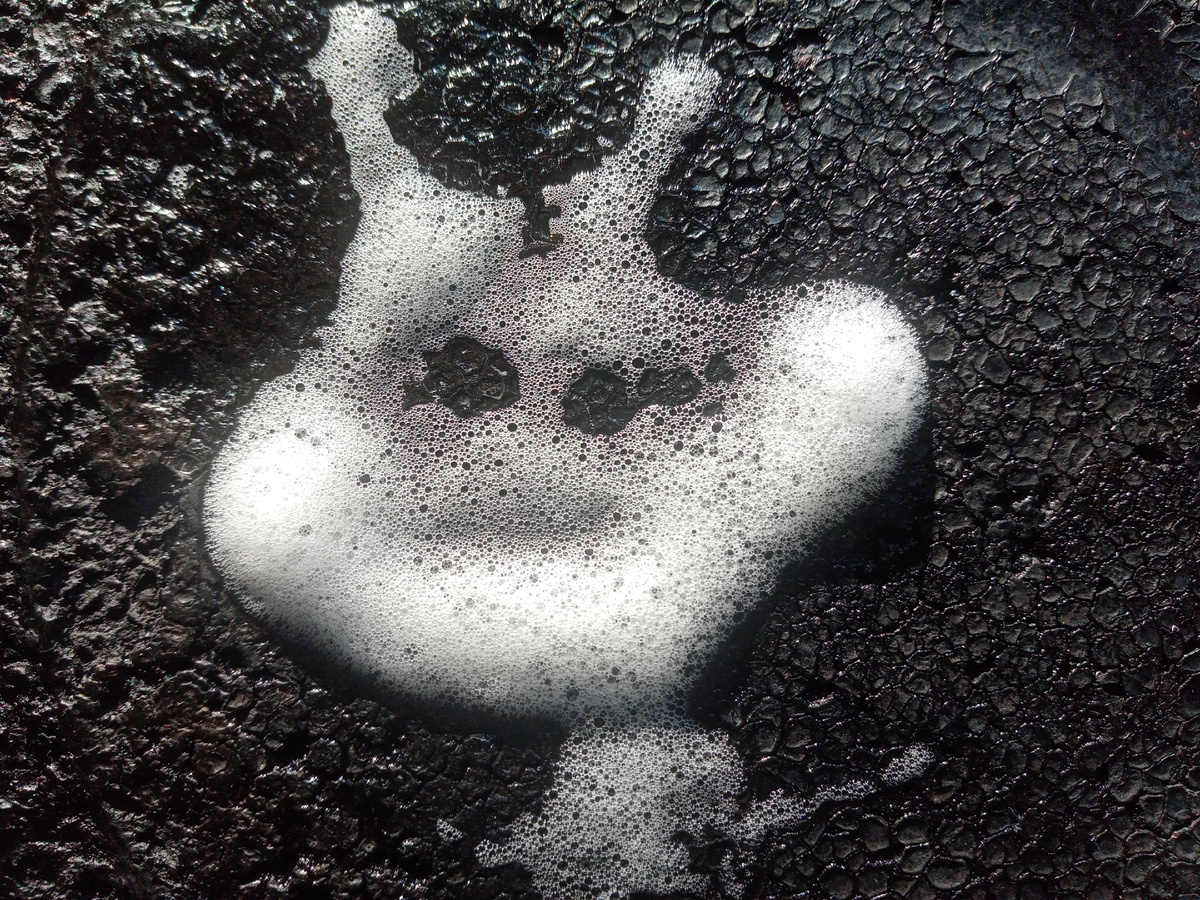 Фото автора от 20.02.2026г. 