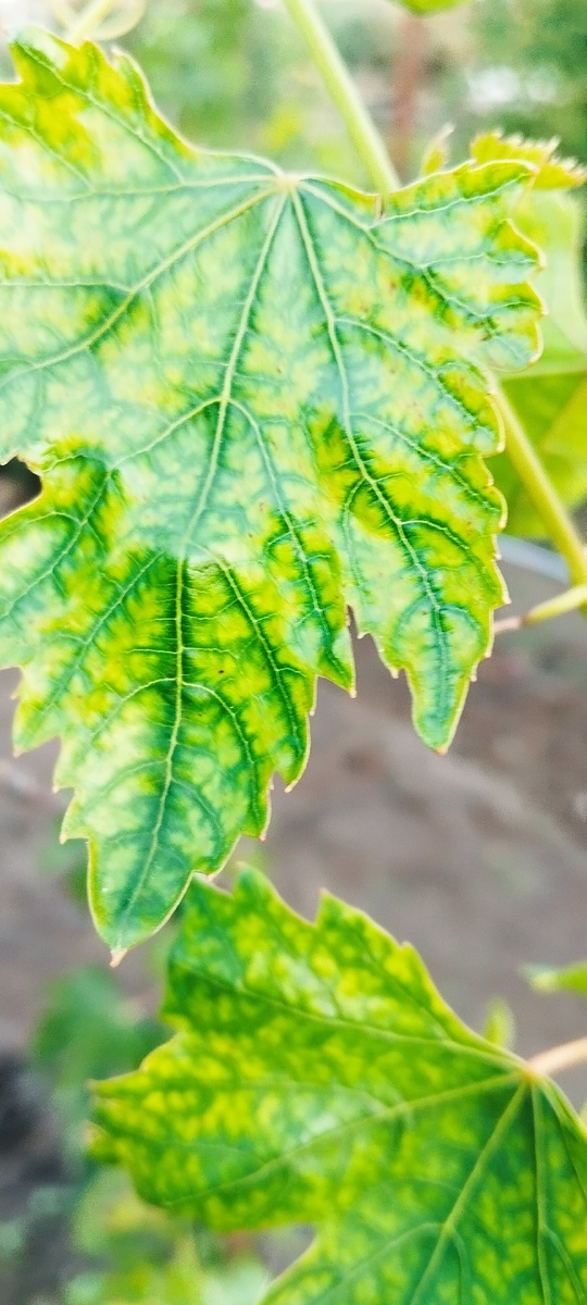 Фото подписчика 