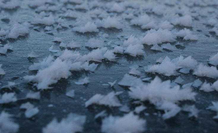 Все фото из интернета