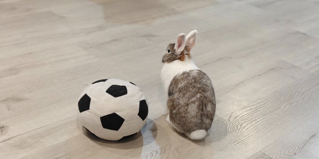 Книжные находки