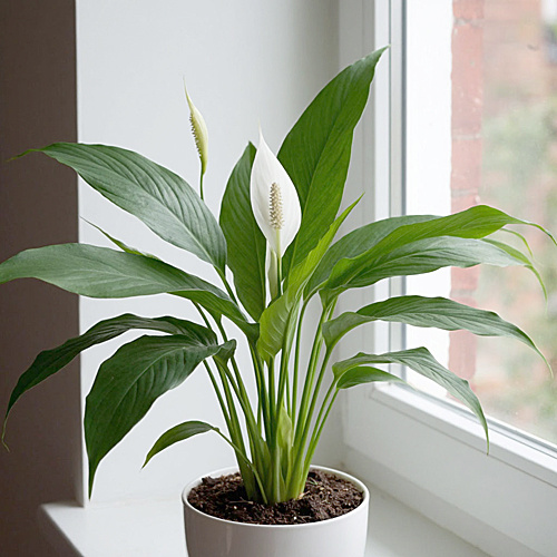    /  ФОТО сгенерировано ИИ Администратор