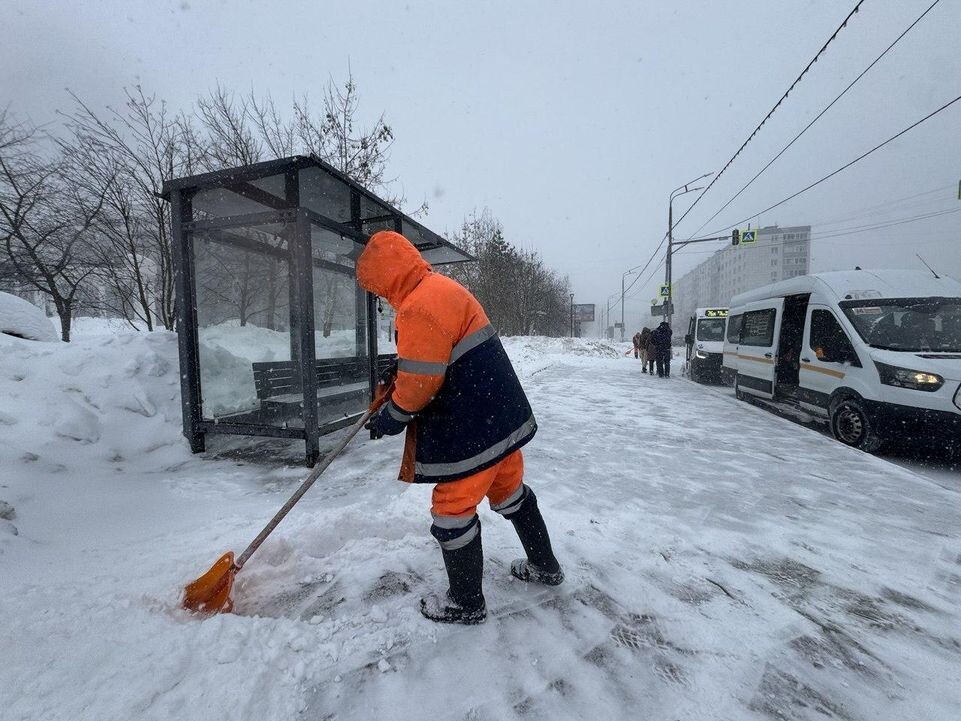     REGIONS / Татьяна Сташенко