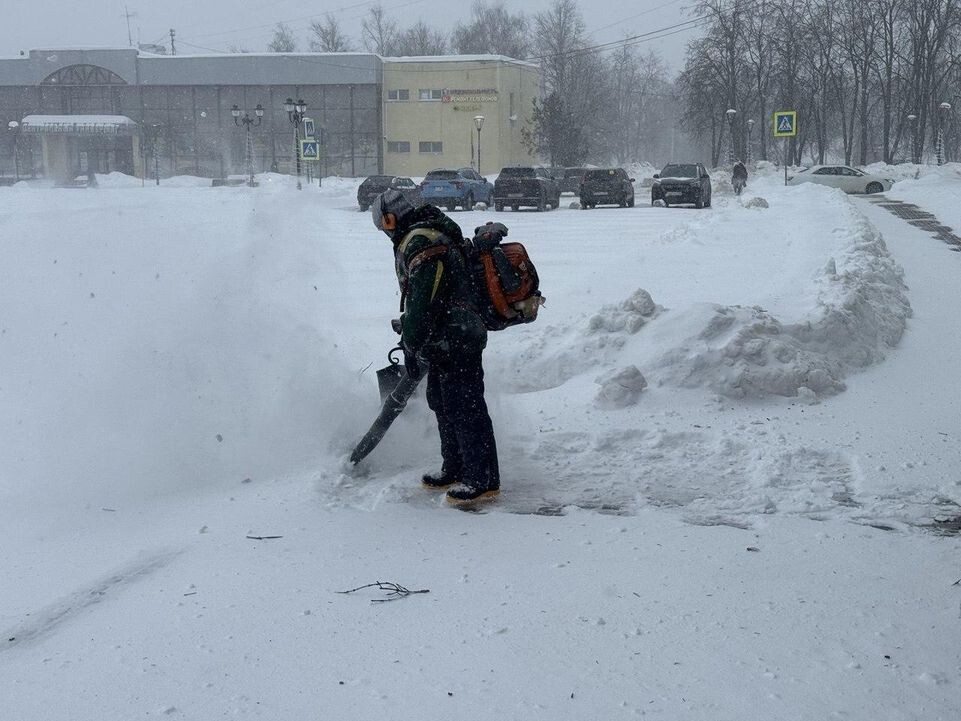     REGIONS / Татьяна Сташенко