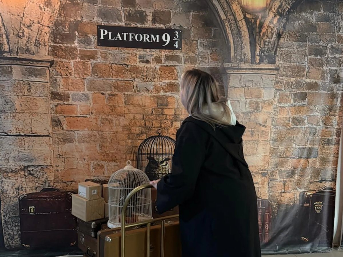    Путь на выставку через платформу 9¾