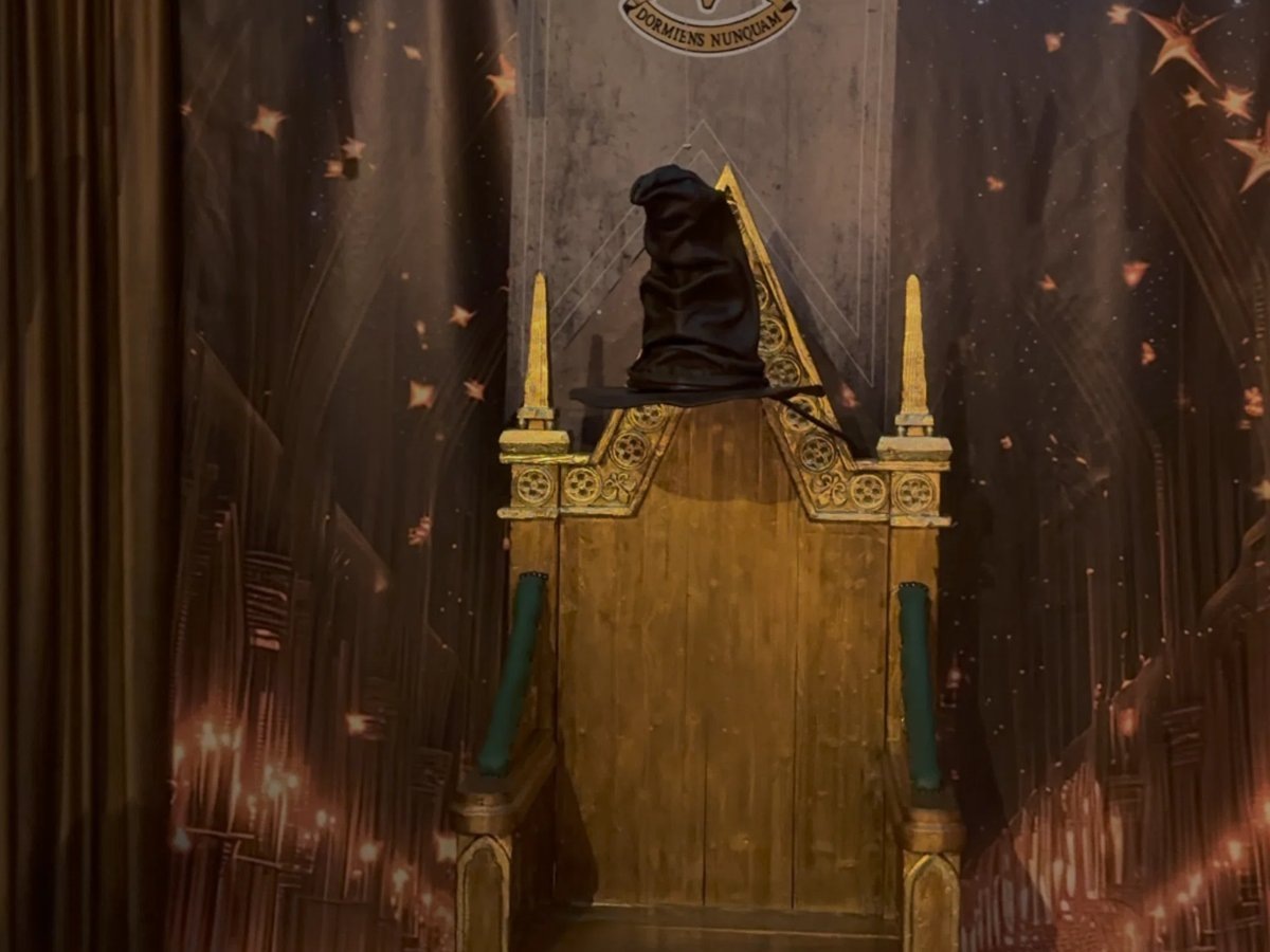    Волшебная шляпа для распределения по факультетам