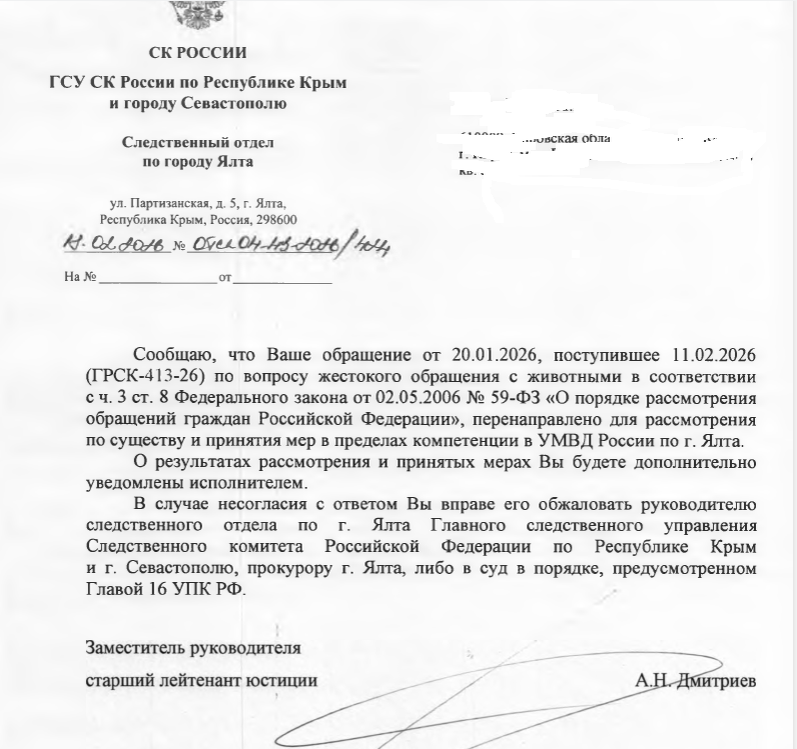 скрин автора