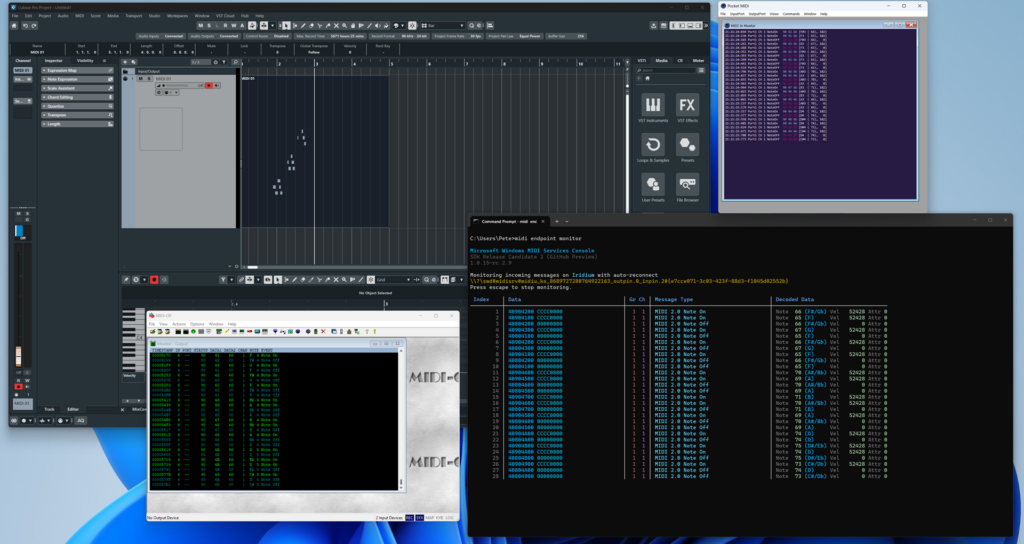 Фото Microsoft  📷
