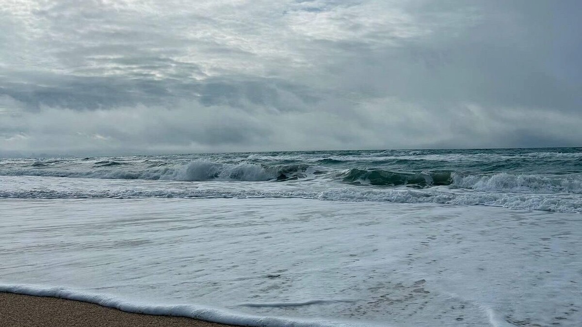    Фото: телеканал «Краснодар»