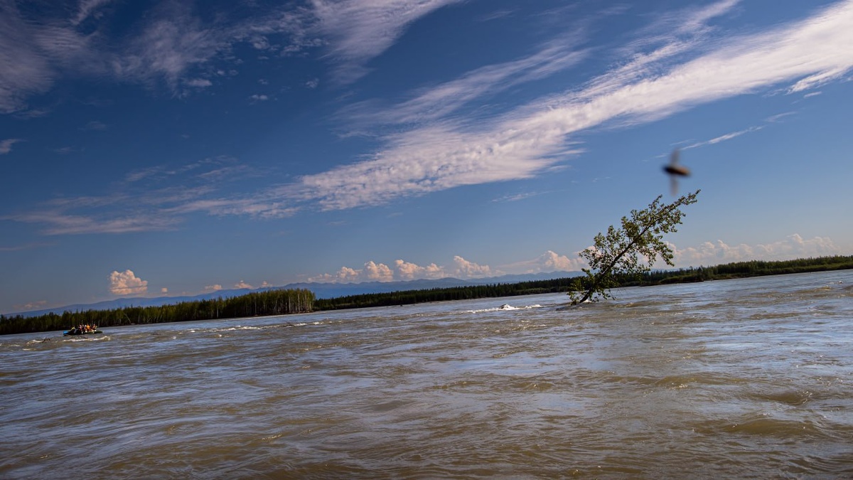 Индигирка перед впадением Момы