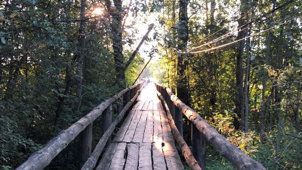 Деньги, таланты, здоровье, отношения: как найти скрытые ресурсы в своём роду. Генеалогические источники.