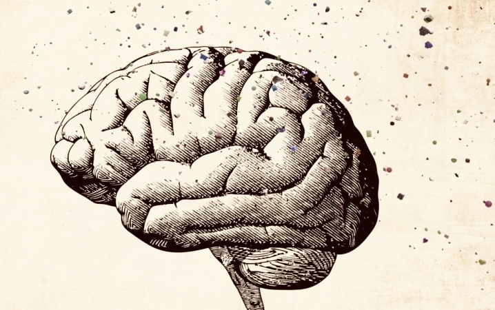 Фото взято со свободного источника в Интернете. 