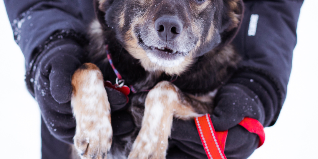 Москва! Приходите на выставку!! 22.02.2026 - Хлебозавод⁹