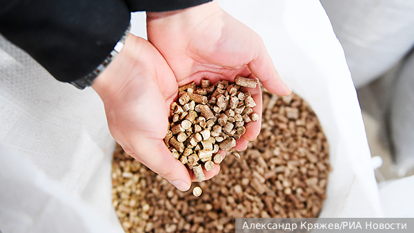     Фото: Александр Кряжев/РИА Новости   
 Текст: Станислав Лещенко