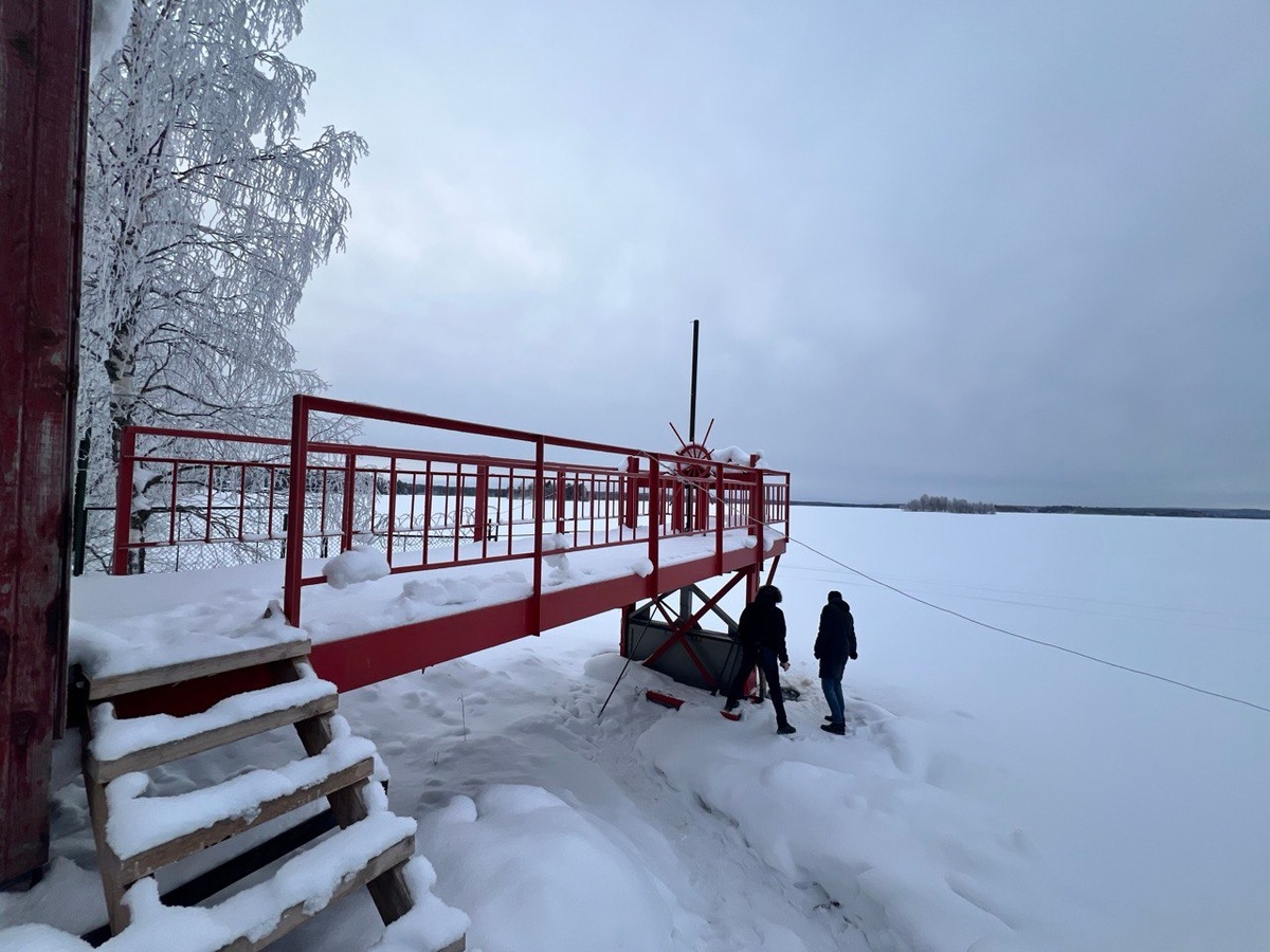    Фото: соцсеть Янины Свидской