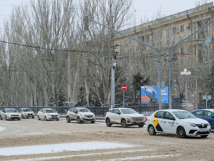     © Фото: ИД «Волгоградская правда» / Сергей Каширский