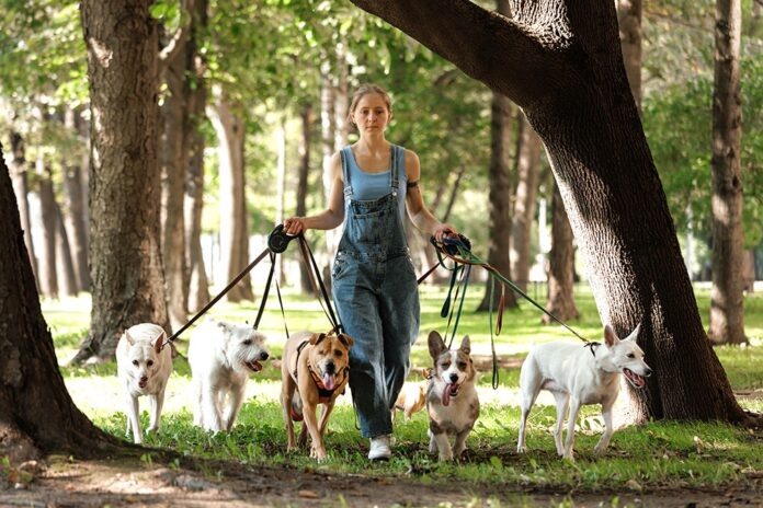    2029 год: Био-выгульщики – от простой подработки до высокотехнологичной индустрии.