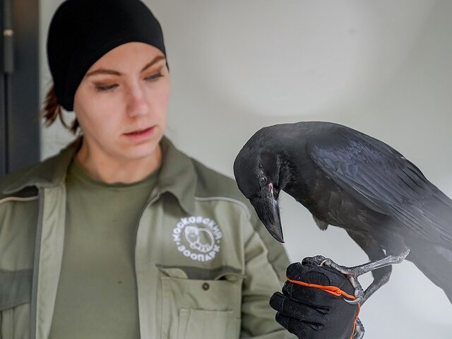    Фото: портал мэра и правительства Москвы/Евгений Самарин