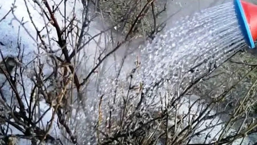 Термометр — главный инструмент в этом деле. Без него попадание в нужную температуру почти невозможно