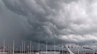    @plishkin_ds Юлия Виноградова