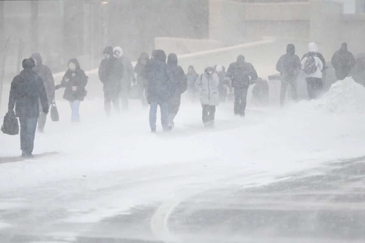    Центральная Россия продолжает жить в ритме снежного апокалипсиса.