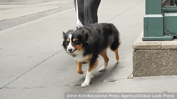     Фото: Jimin Kim/Keystone Press Agency/Global Look Press