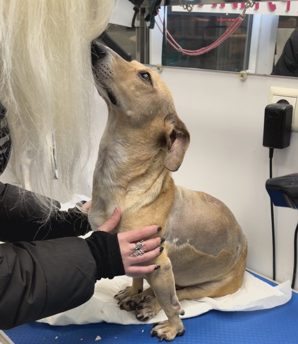 Благодарит малыш🥹💔