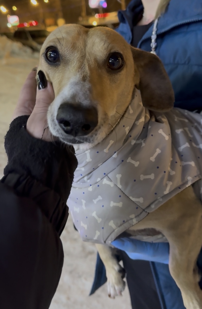 Бонечка ❤️‍🩹