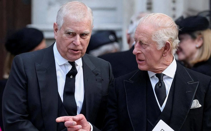 Торт не нужен: брат короля Карла III получил наручники на 66-летие по делу Эпштейна