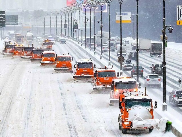    Фото: Мосфото
