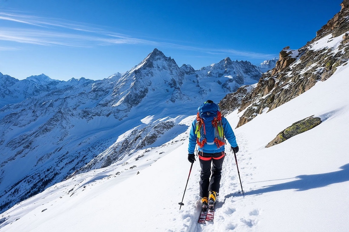    Фото: Коллаж RuNews24.ru