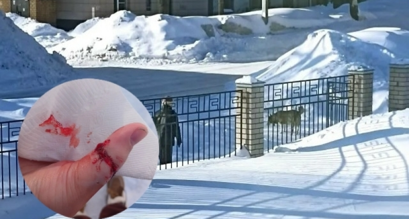    Фото: предоставлены героиней публикации