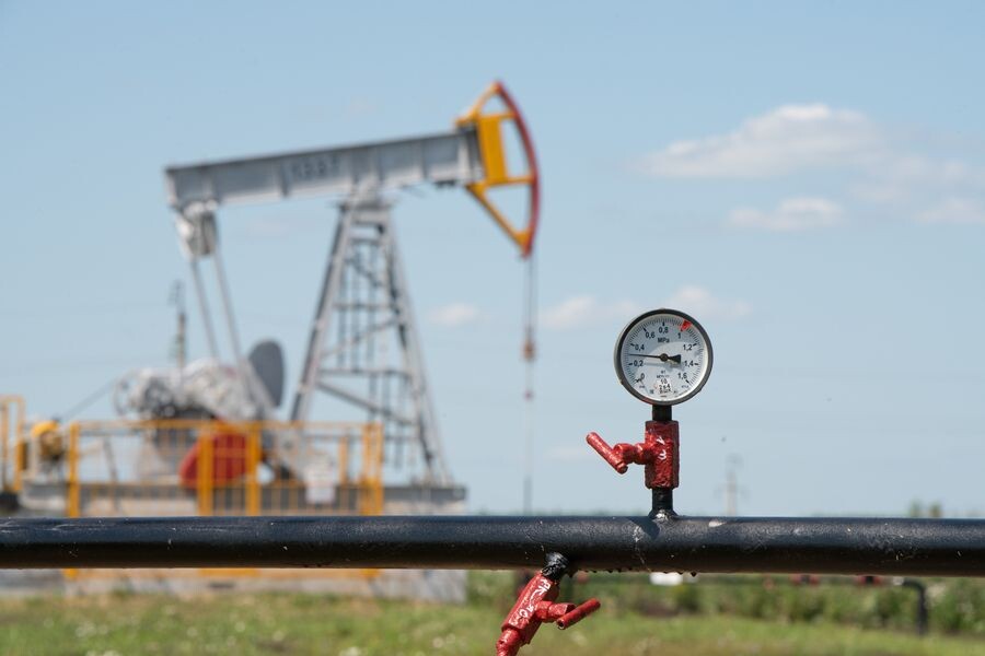     / Источник: © Александр Манзюк/ТАСС