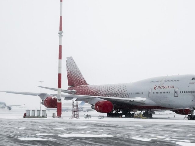    Фото: Москва 24/Лидия Широнина