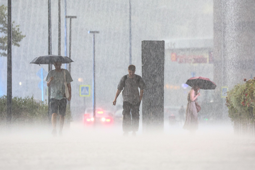    Фото: Сергей Булкин / ТАСС