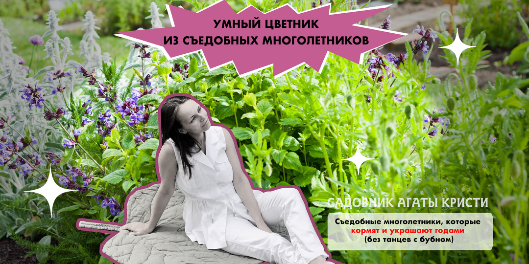 Умный цветник: Съедобные многолетники, которые кормят и украшают годами (без танцев с бубном)