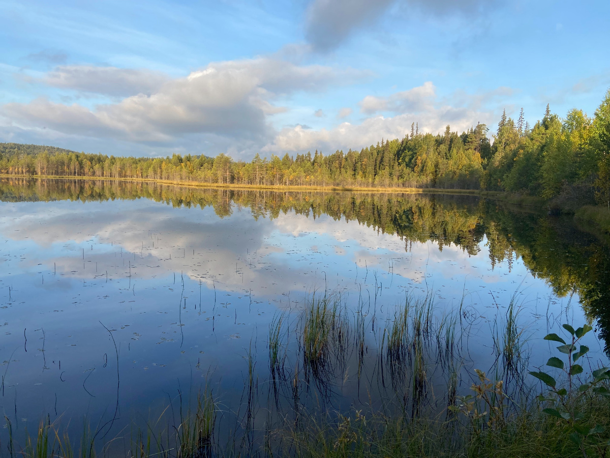 Безымянная ламбушка у кордона Национального парка Паанаярви