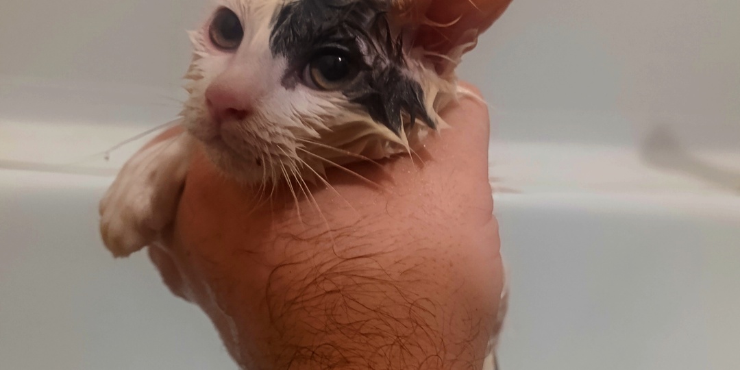 Карантин - правила написаны.. для умных