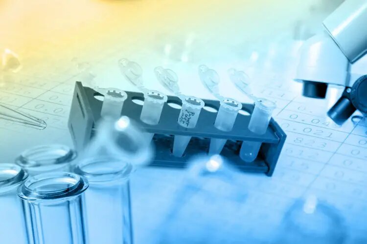    Фото: scientificrussia.ru Иван Гаврилов