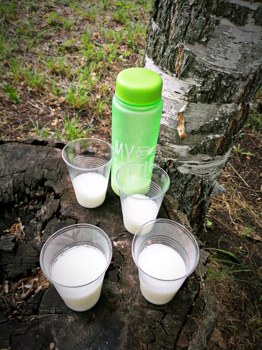 Кумыс на свежем воздухе просто прекрасен! 😋 Санаторий «Юматово», Башкортостан, 2019 (© Анна, «Маяк энерджайзера»)