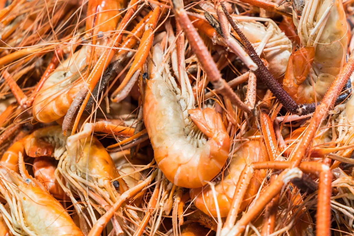    Хитозан — вещество, получаемое из панцирей крабов и креветок.