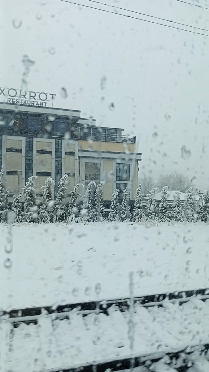 Снегопад в Ташкенте