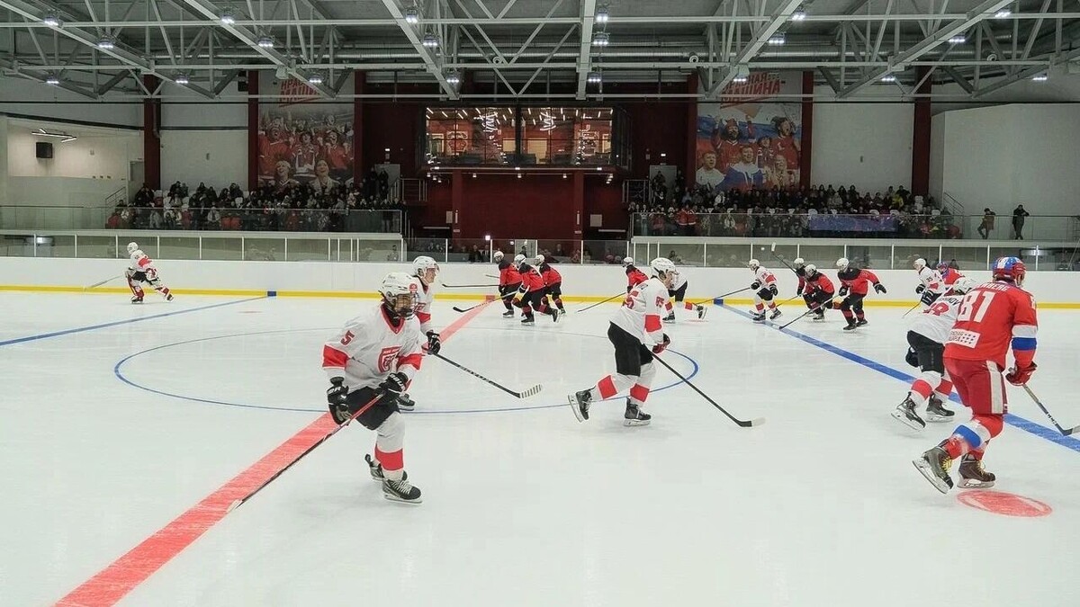    На комплексе будут базироваться хоккеисты «Академии игровых видов спорта».   Виктор Михалев / properm.ru