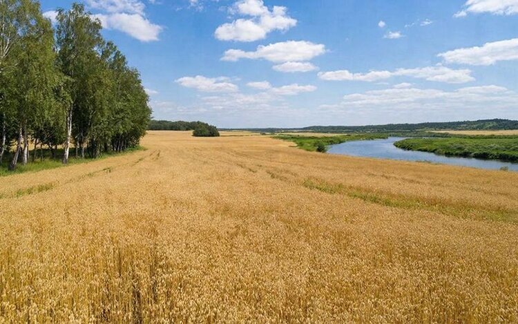    Фото: РосАгрохимслужба
