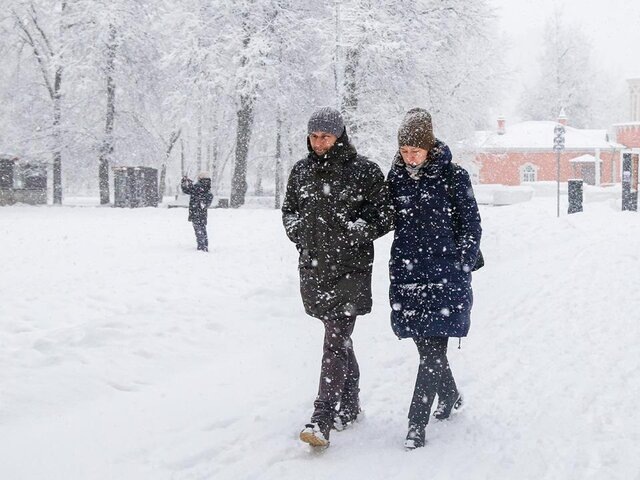    Фото: Москва 24/Лидия Широнина