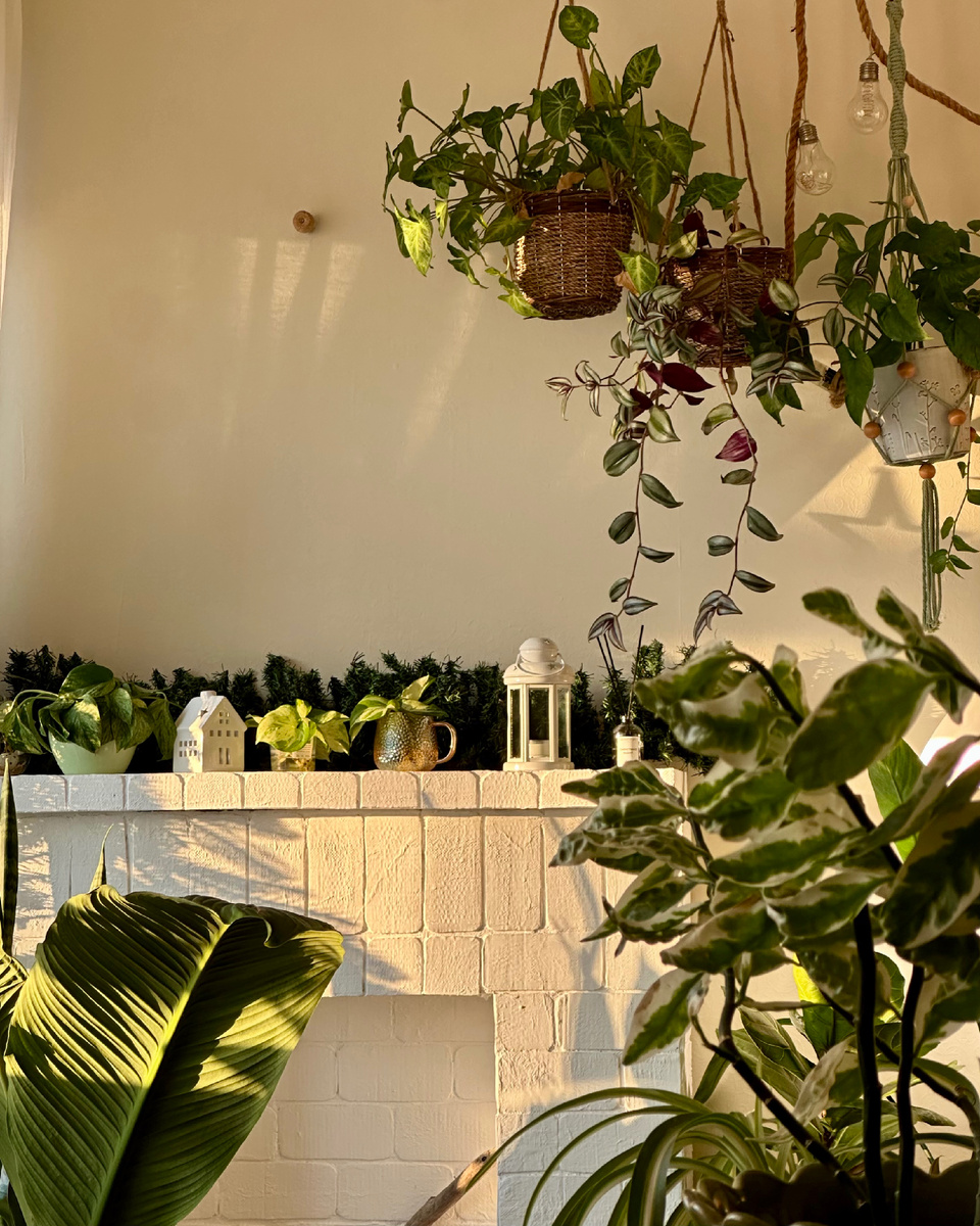 Цветы в моей зеленой спальне