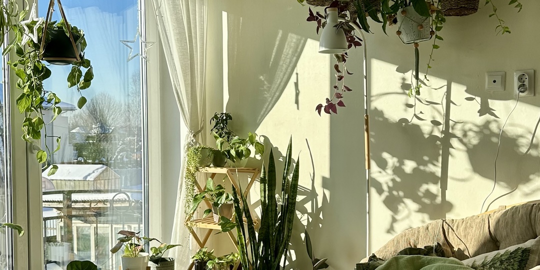 Свекровь отравилась консервами. И другие наши новости.