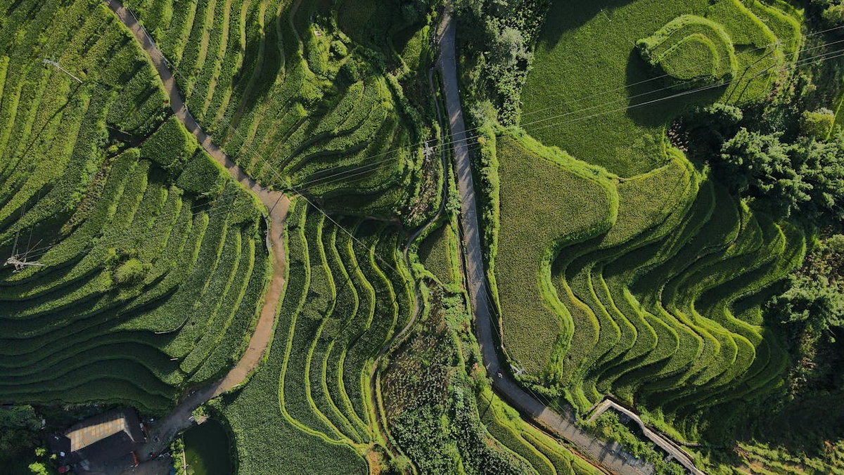 Фотограф: Lucas Tran: https://www.pexels.com/ru-ru/photo/27629350/