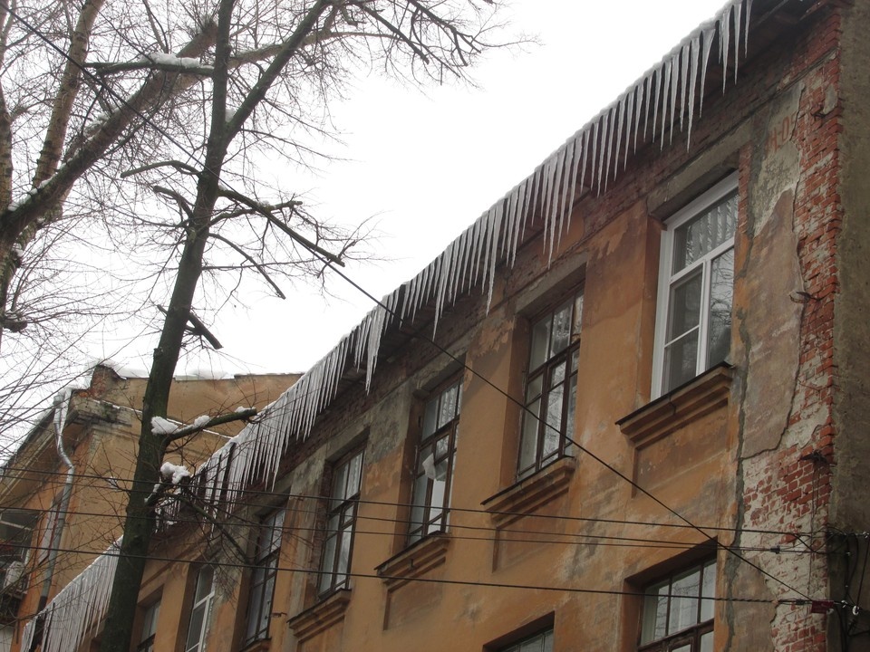    Фото Елены Федяшевой из архива «КП»