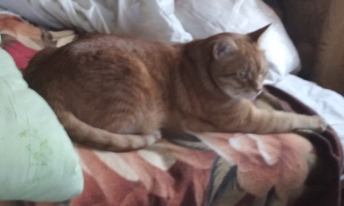 личное фото